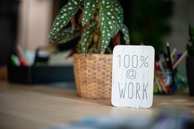 A green plant with a board in front of it with the text 100% at work to describe the turnaround time of the editing and proofreading of the AI-generated transcripts based on audio minutes